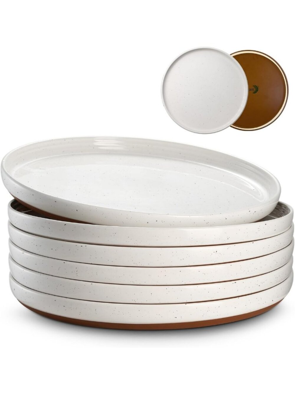 Set of 6 Large 10.5" High Edge Ceramic Dinner Plates - Microwave & Dishwasher